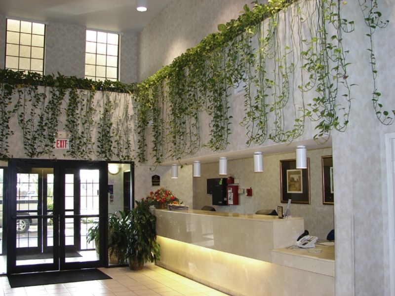 Quality Inn & Suites Airport Austin Extérieur photo